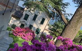 Giardini Magnolia